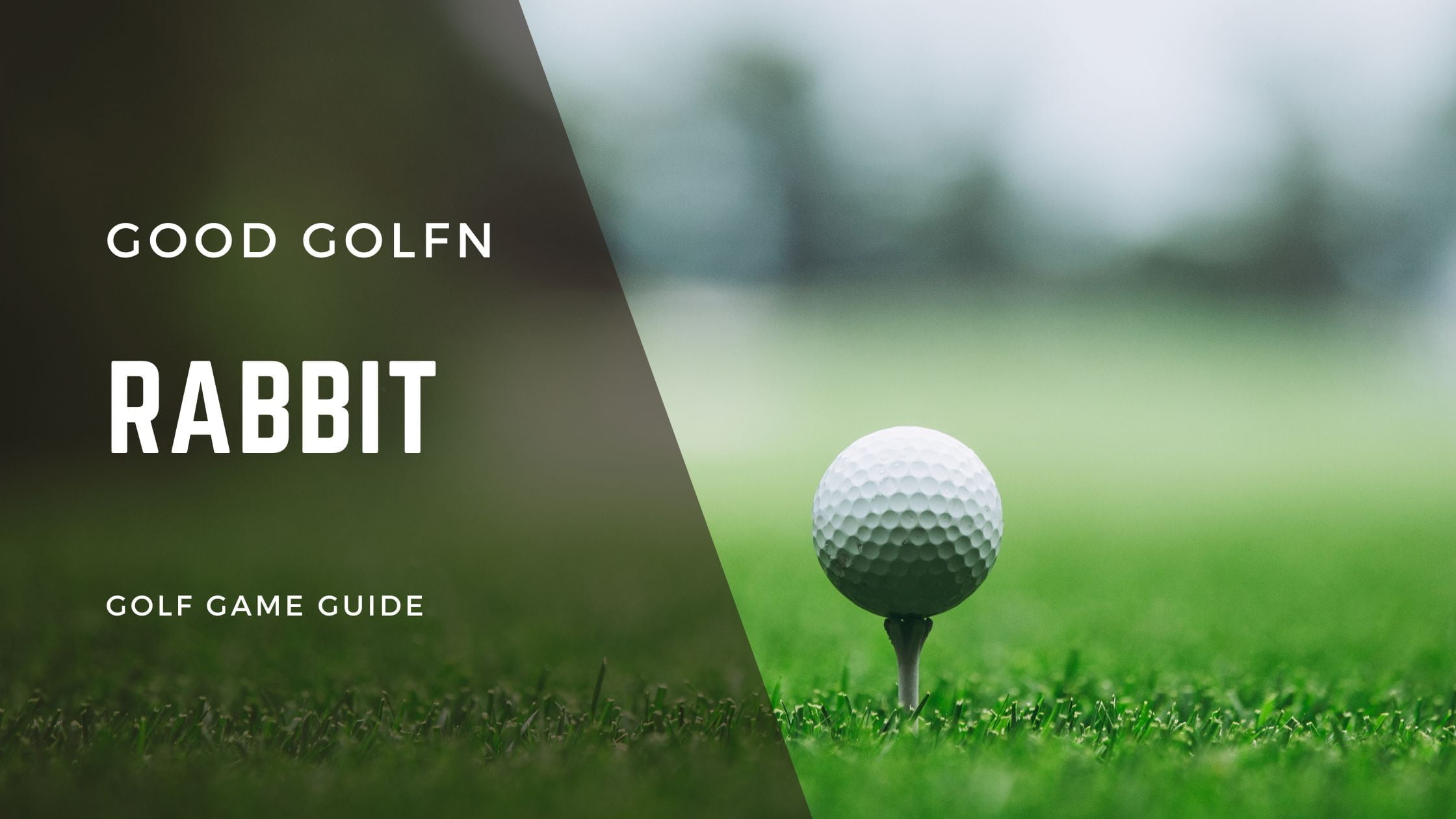 Dive into the exciting world of the Rabbit golf game! Learn its history, master strategies, and answer top FAQs. Perfect for both beginners and avid golfers!
